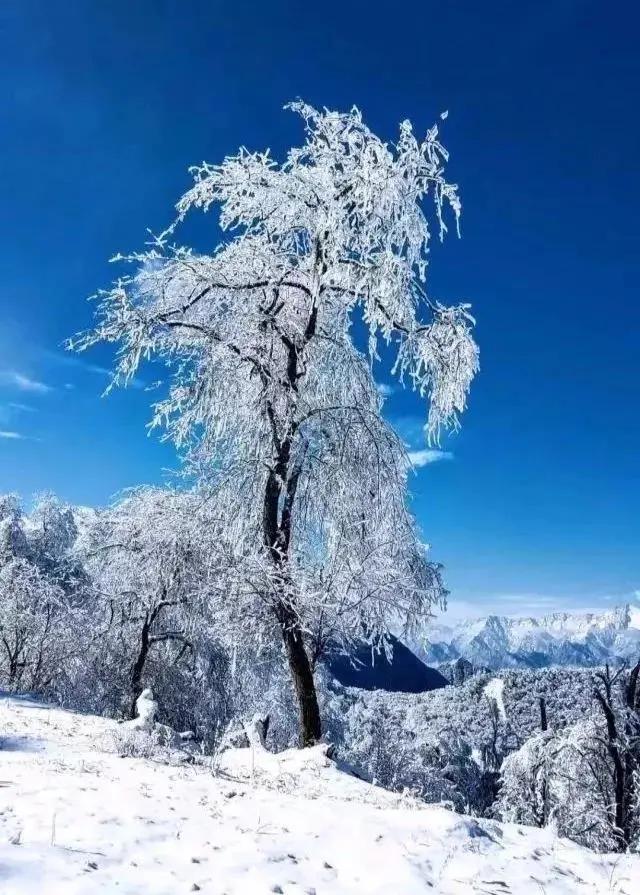 成都周边冰雪游攻略一日游推荐,成都周边冰雪旅游