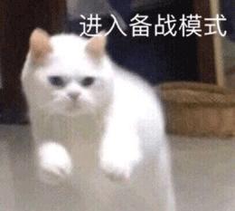 猫咪不愿意洗屁股硬洗会怎么样,猫咪不愿意清洗鼻子怎么办