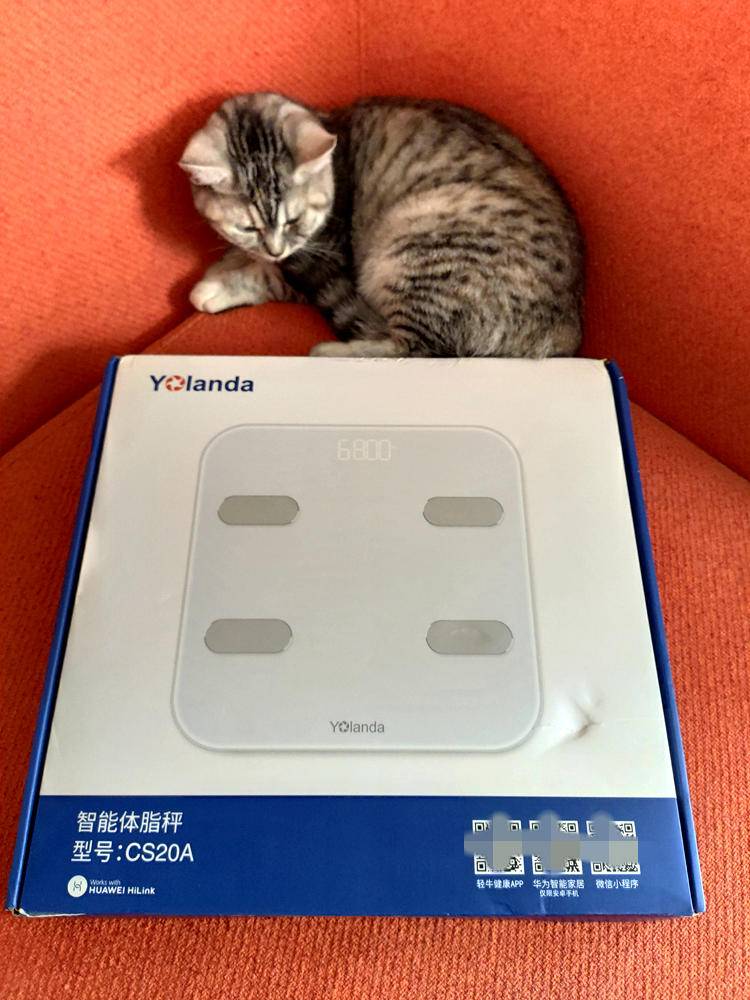 云康宝体脂秤蓝牙和wifi区别,云康宝和华为八电极体脂秤评测
