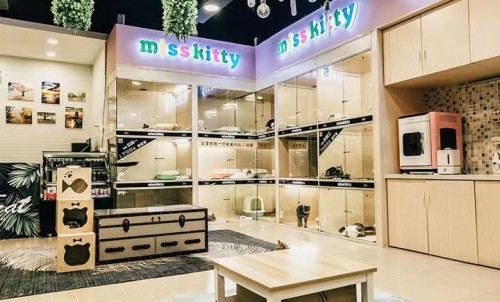 猫咖加盟有哪些品牌,猫咖加盟找哪家