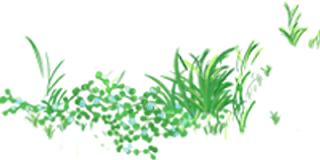 长安区第二初级中学,家门口的好学校建设路