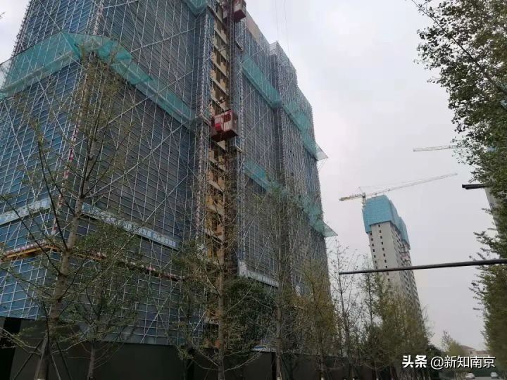 8选1！南京第④批集中开盘，核心区热度直线下滑