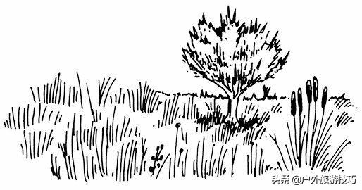 丧尸末日生存小技巧,末日僵尸之生存指南