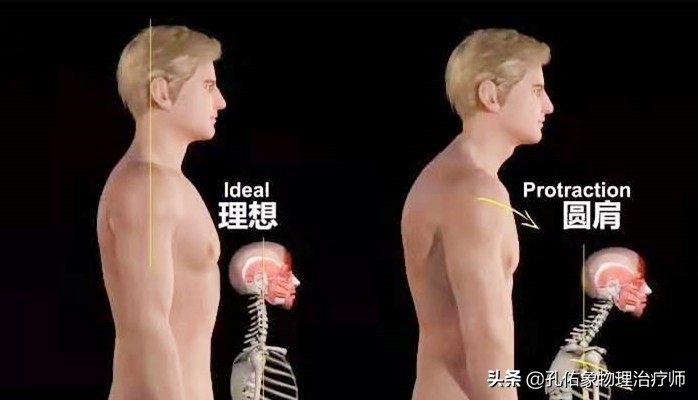 后背肩胛骨疼什么原因造成的,深呼吸造成右后背肩胛骨下方疼痛