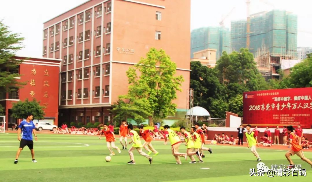石碣四海学校口碑怎么样,东莞足球特色学校排名