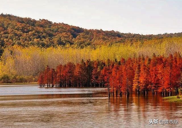 江苏最值得去的十个旅游地方,一到十二月江苏省小众旅游