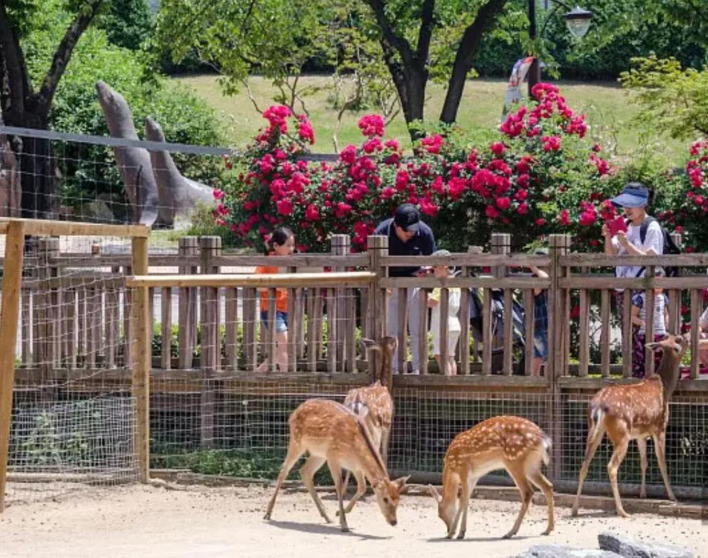 2021国内主题公园排名,中国值得去的主题公园