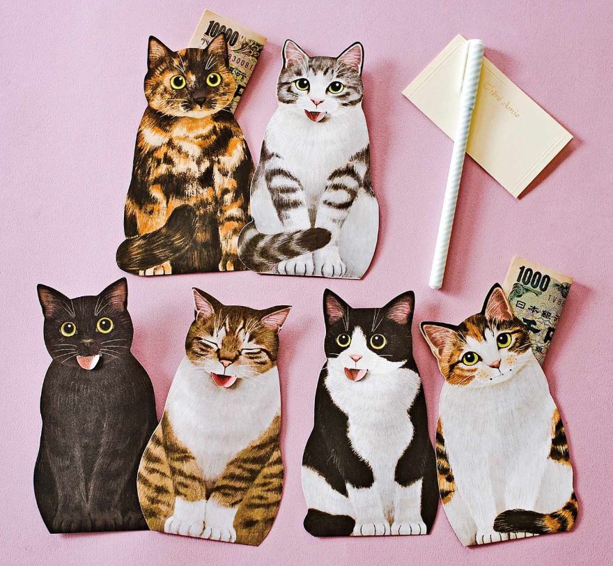 日本人又来骗猫奴们的钱啦！但我心甘情愿掏钱了！