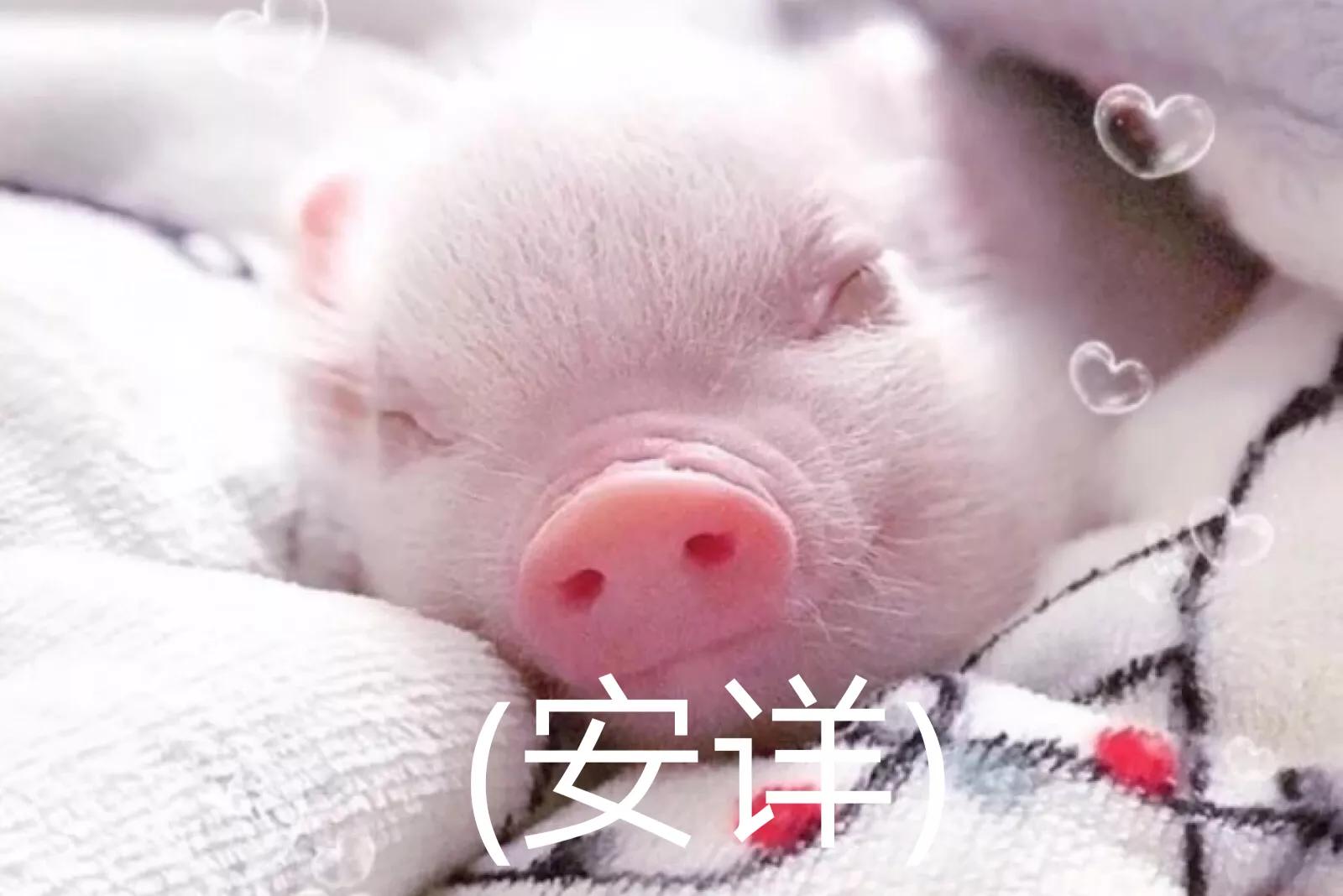搞笑表情包结尾定格,搞笑表情包告辞
