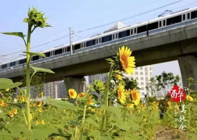 北仑旅游攻略大全集,北仑旅游攻略