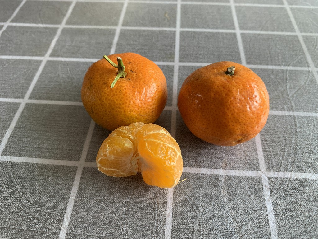 经常吃砂糖橘手会发黄吗,经常吃砂糖橘对孩子好吗