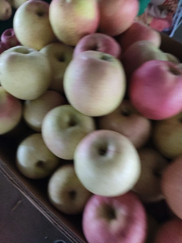 庄河最大早市,庄河南早市