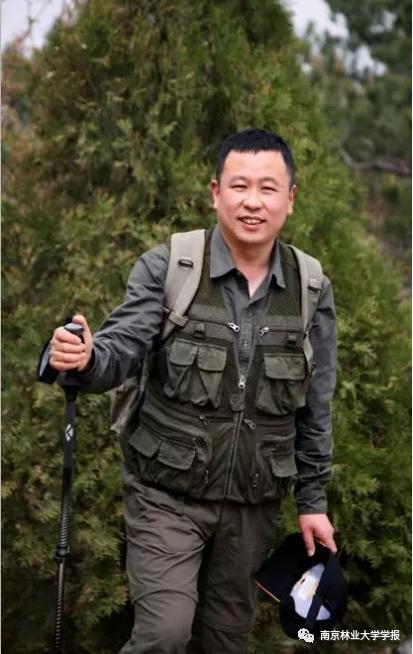 无患子果实视频,无患子成熟图