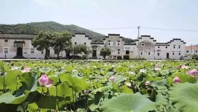 绍兴嵊州最美古村,绍兴最美古村落自驾游线路