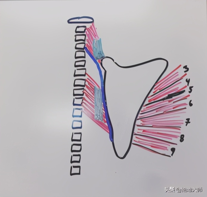 慢性颈痛推拿手法,慢性颈肩腰腿痛中医调养视频