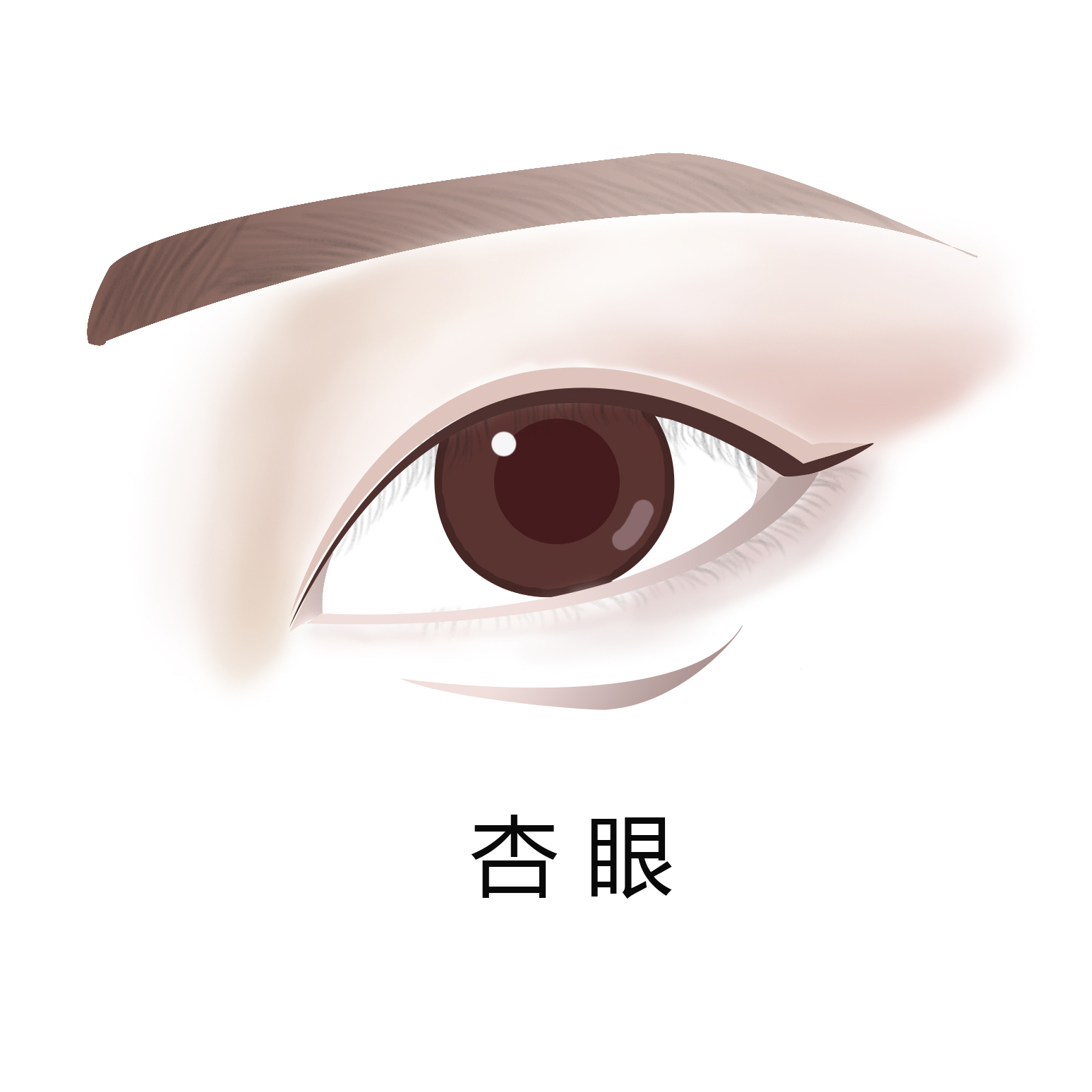 女人的几种眼型和性格,什么眼型的女人最好看