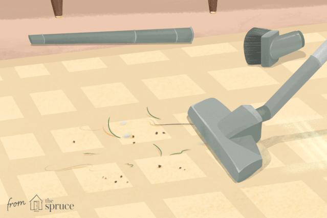 消灭跳蚤用什么药,消灭99.99%的跳蚤