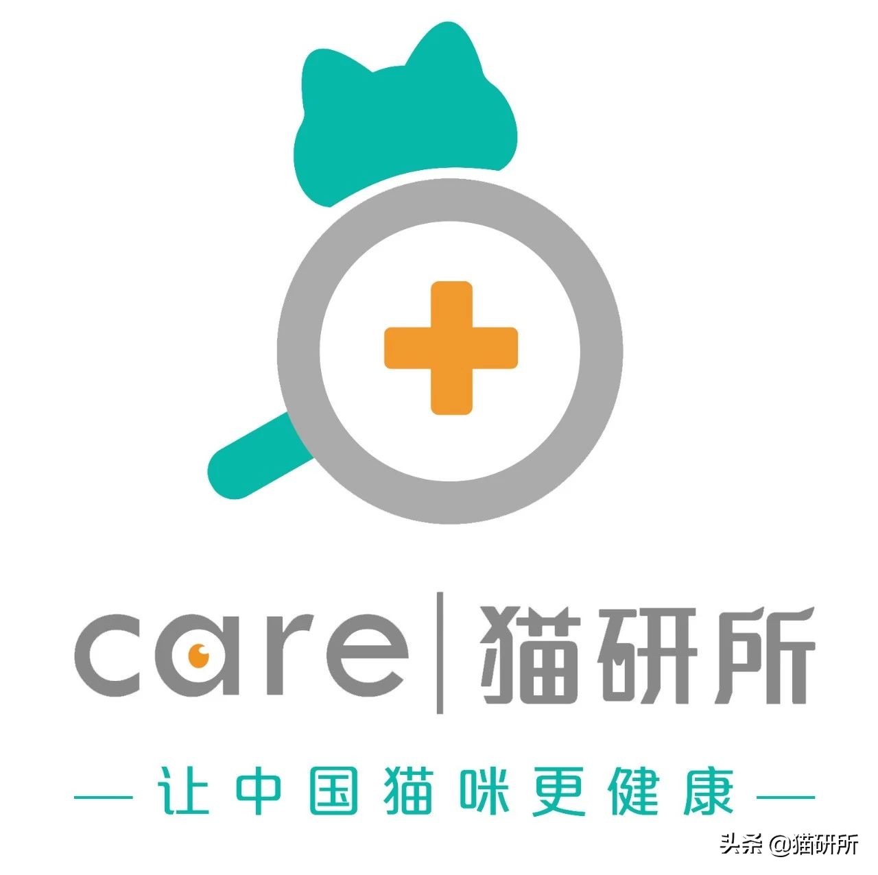 猫咪冻干大百科，主子的零食是不是有着落了？