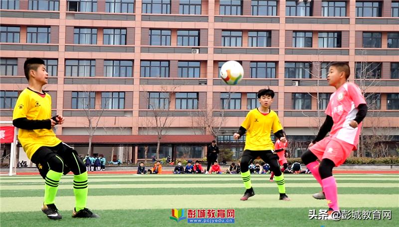 徐州市市长杯小学足球赛,2024年徐州校长杯足球联赛