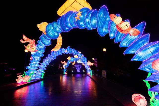 成都欢乐谷圣诞跨年季浪漫来袭，蓝精灵温暖冬日，开启欢乐不眠夜