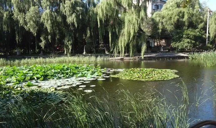 济南动物王国一日游详细攻略,济南一日游动物园