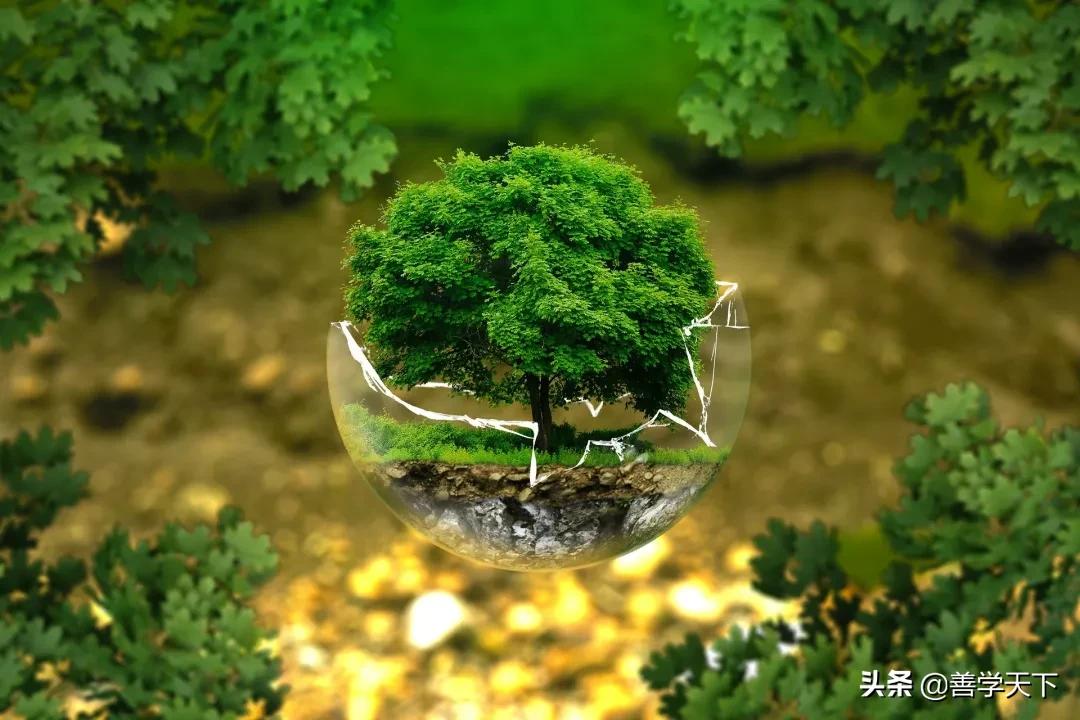 垃圾回收任重道远,垃圾回收处理的方法有哪些