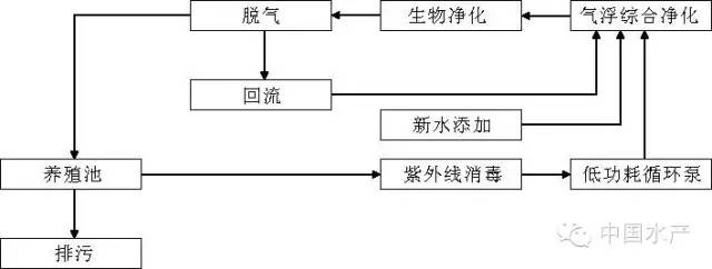 海水工厂循环水健康养殖技术及关注事项