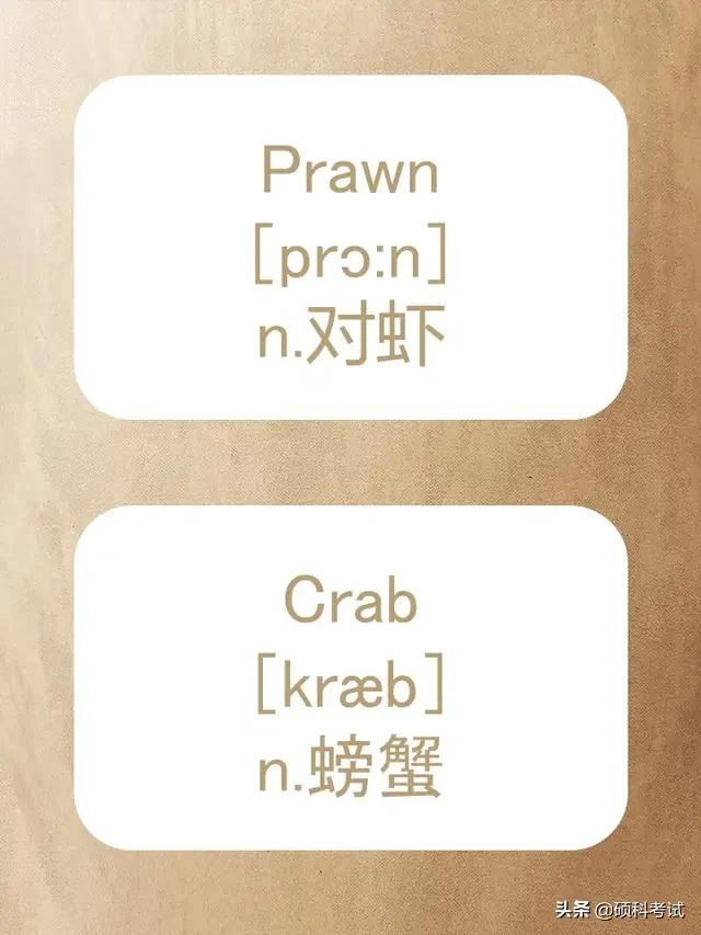 动物的英文拼写及音标,关于动物的单词及音标