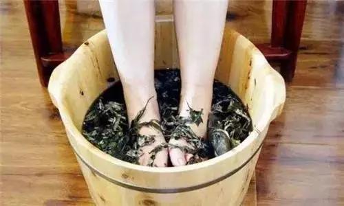 毒五月吃什么好,毒五月吃什么