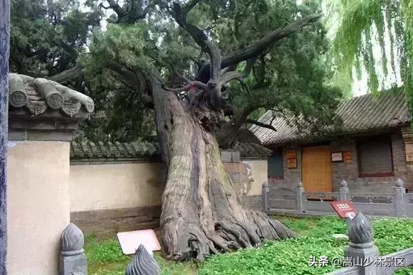 嵩山少林寺到底在哪里呢,嵩山真正的少林寺