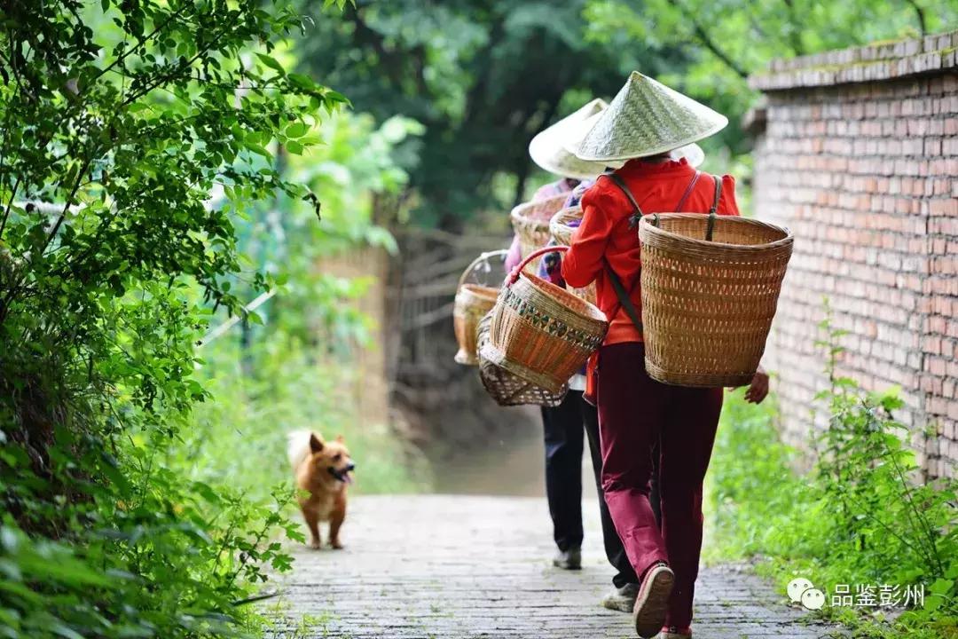 铅山县葛仙山,去葛仙山攻略