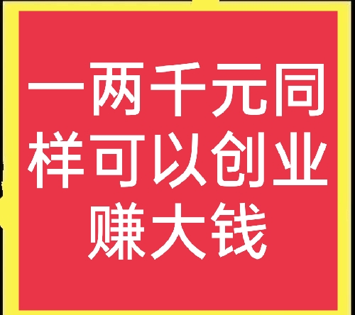 一千块做什么可以快速赚钱,现在有一千元做什么才能赚钱呢