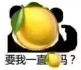 zara新品完整版,zara活力跃动bergamot柠檬精香水