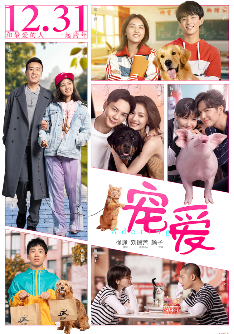 2天冲3亿《宠爱》魅力何在：看完钟汉良的猪，我想起了我家的狗