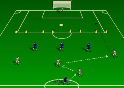 深圳市王之者足球培训中心,王之者足球培训中心罗湖区