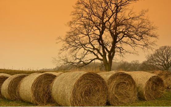 农村不起眼但利润高的小生意,利润高不起眼的项目创业