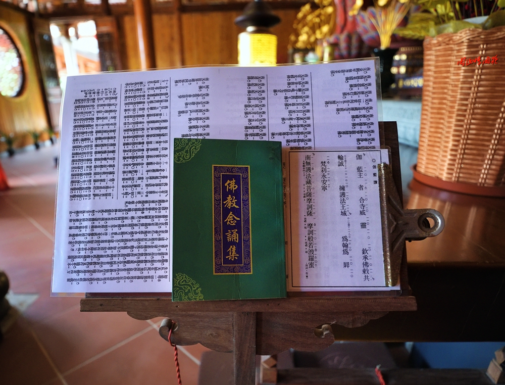 摄影就是记录流逝的时光,摄影捕捉生活的美好瞬间