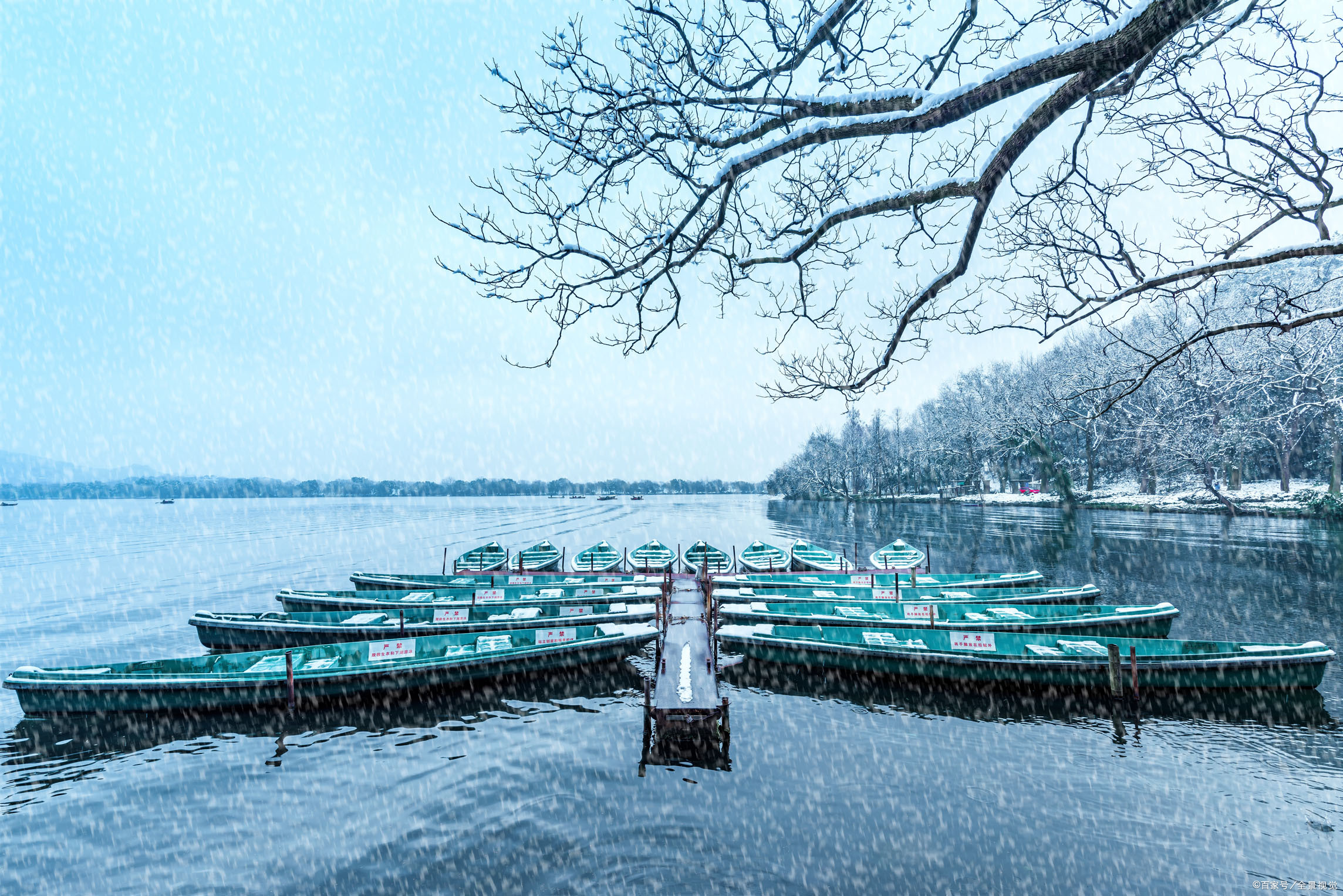 胡适哲学讲解视频,胡适的北大哲学课