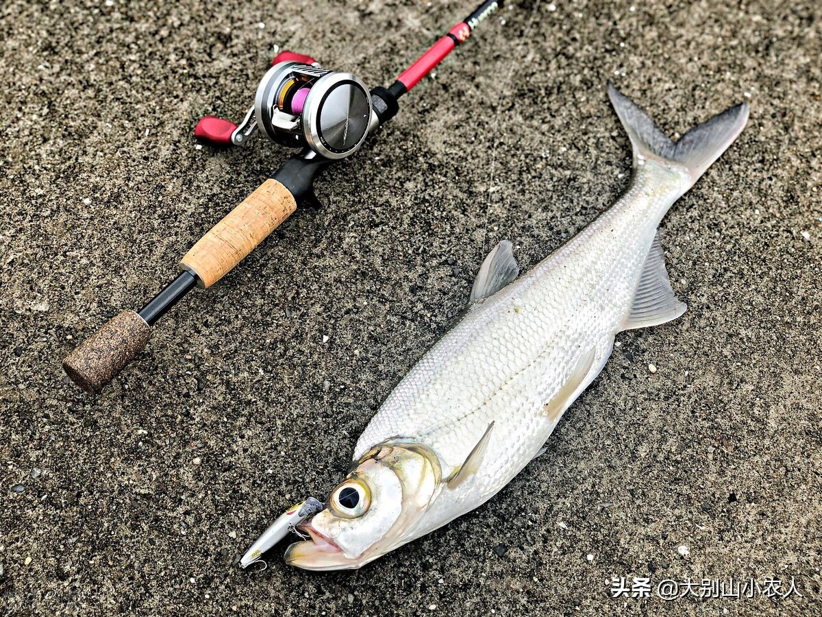 钩子挂泡沫钓鱼,泡沫挂钩能钓鱼吗