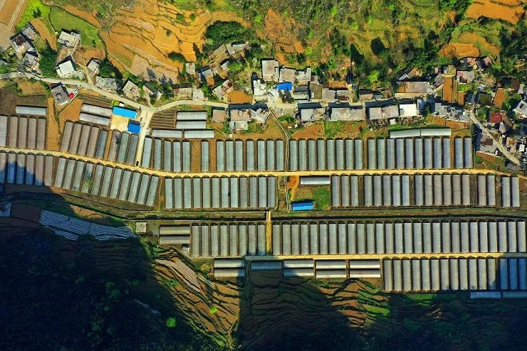 纳雍乡村振兴重点在哪里,纳雍乡村振兴案例