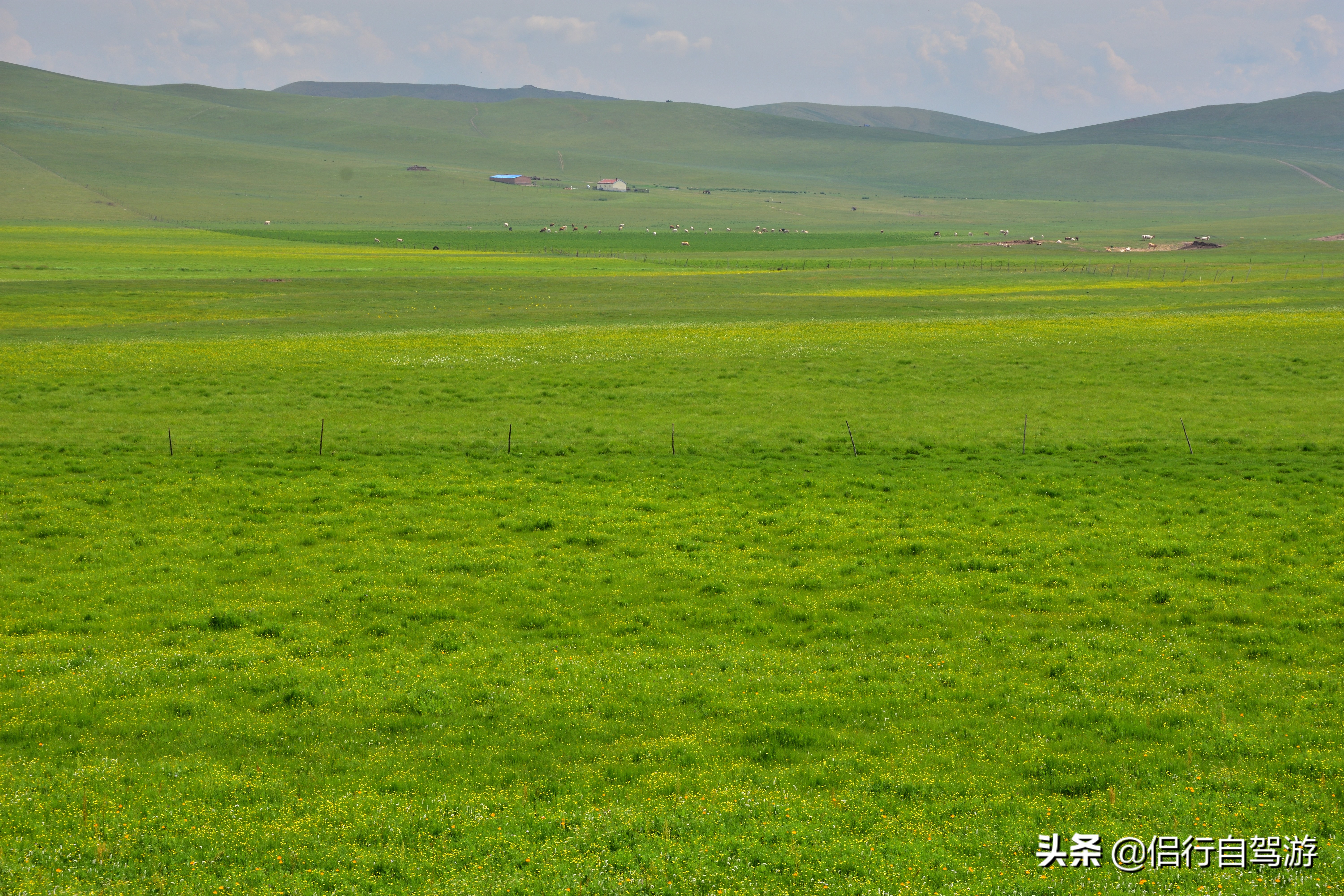 西乌旗景观大道,两条景观大道