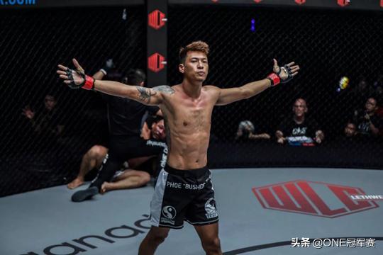 从足球到体坛全集,从足球到羽毛球的感悟