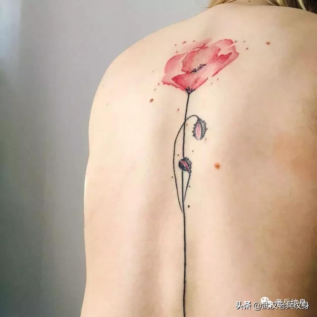 纹身素材网站,纹身素材大全图片白底