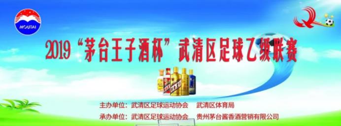 茅台王子酒足球比赛,2022茅台王子酒杯八人制足球赛