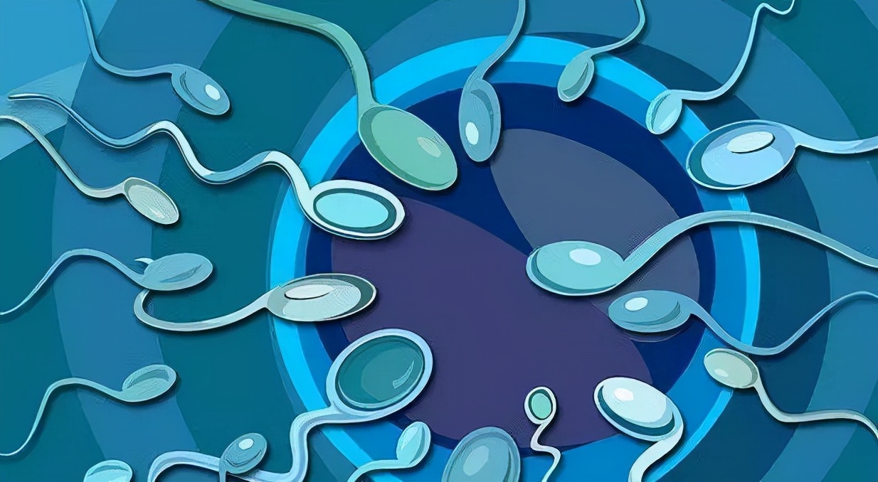 男性一生精子多少,男性一生精子次数