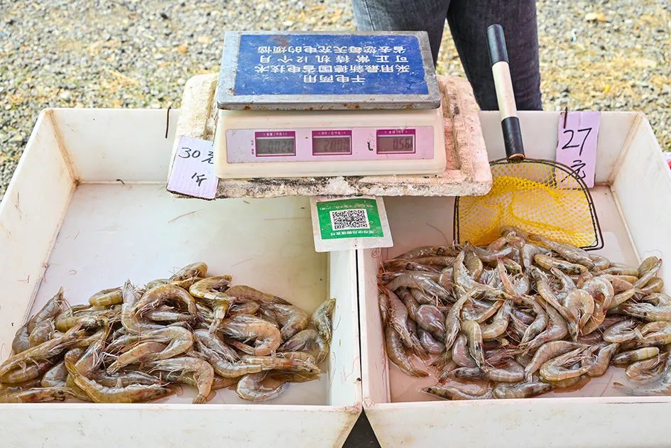 北京京郊大集地理位置,今天京郊哪有大集