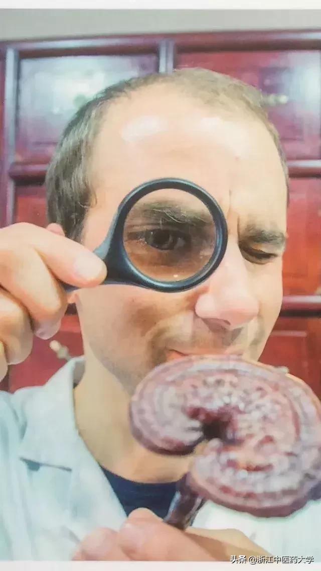 德国小伙爱中医成痴，13年孜孜不倦成“养生达人”