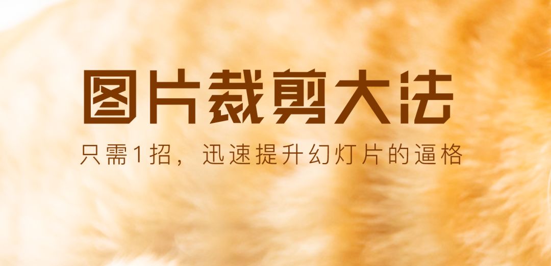 如何用ppt进行裁剪,ppt图片裁剪工具