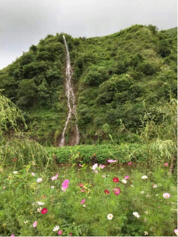鍏嬩緷榛戠伀鎶婅妭绡濈伀鏅氫細,鍏嬩緷榛戠伀鎶婅妭鐜板満鐩存挱