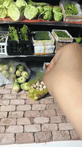 90后母亲被骗,90后妈妈因造假走红